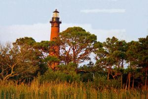 Alfred Flattum "Fall" 1982